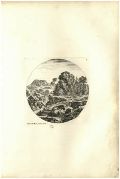 Vol.%20Z%20132%2C%20tav.%2011